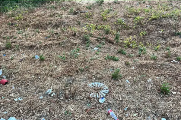 Rende: città universitaria o discarica all’aperto?